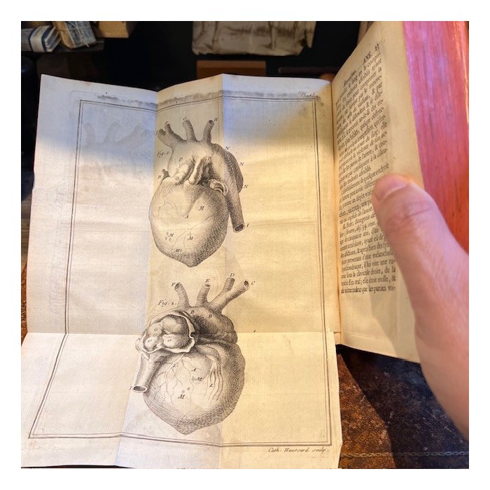 Bibliothèque de Médecine - François Planque -1749 - 5 planches