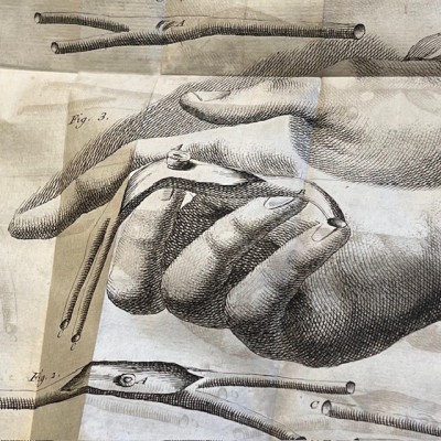 Bibliothèque de Médecine - François Planque -1749 - 5 planches