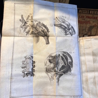 Bibliothèque Choisie de Médecine - Volume 6 - F.PLANQUE - 1749