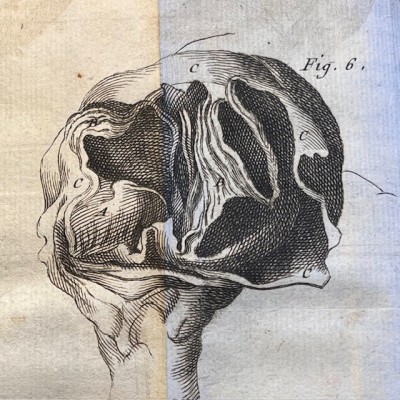 Bibliothèque de Médecine - François Planque -1749 - 5 planches