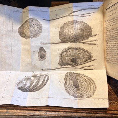 Bibliothèque Choisie de Médecine - Volume 6 - F.PLANQUE - 1749