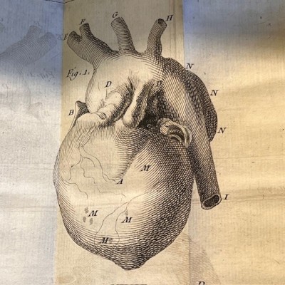 Bibliothèque Choisie de Médecine - Volume 6 - F.PLANQUE - 1749