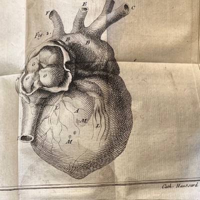 Bibliothèque Choisie de Médecine - Volume 6 - F.PLANQUE - 1749