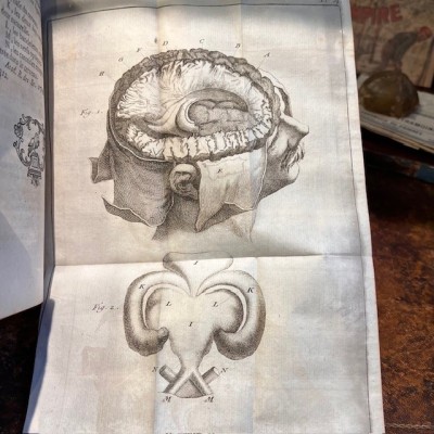 Bibliothèque de Médecine - François Planque -1750 - 10 planches