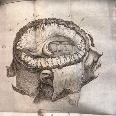 Bibliothèque de Médecine - François Planque -1750 - 10 planches