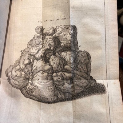 Bibliothèque de Médecine - François Planque -1750 - 10 planches