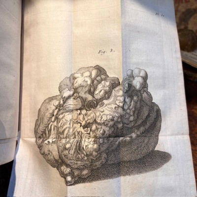 Bibliothèque de Médecine - François Planque -1750 - 10 planches