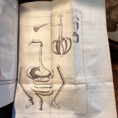 Bibliothèque de Médecine - François Planque -1750 - 10 planches