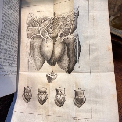Bibliothèque de Médecine - François Planque -1750 - 10 planches