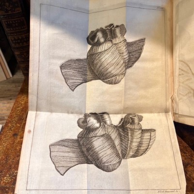 Bibliothèque de Médecine - François Planque -1750 - 10 planches