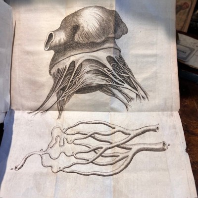 Bibliothèque Choisie de Médecine - Volume 8 - F.PLANQUE - 1750