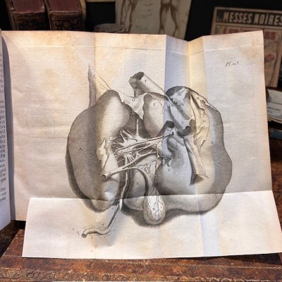 Bibliothèque de Médecine - François Planque -1761 - 10 planches