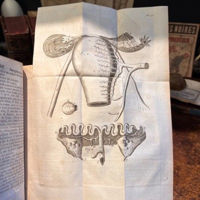 Bibliothèque de Médecine - François Planque -1761 - 10 planches