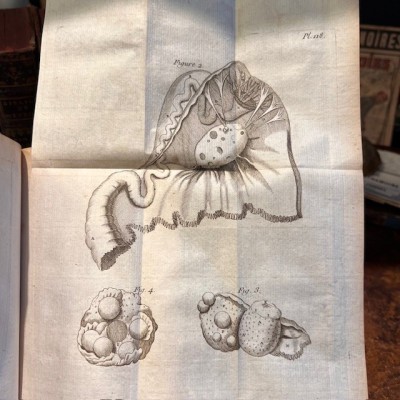 Bibliothèque de Médecine - François Planque -1761 - 10 planches