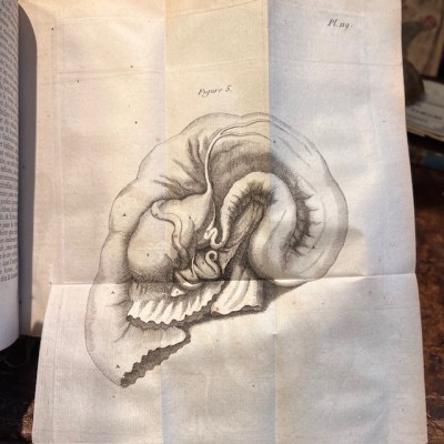 Bibliothèque Choisie de Médecine - Volume 16 - F.PLANQUE - 1761