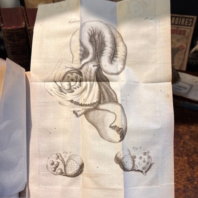 Bibliothèque Choisie de Médecine - Volume 16 - F.PLANQUE - 1761