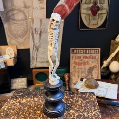 Deer antler wood sculpture - Skeleton on pedestal