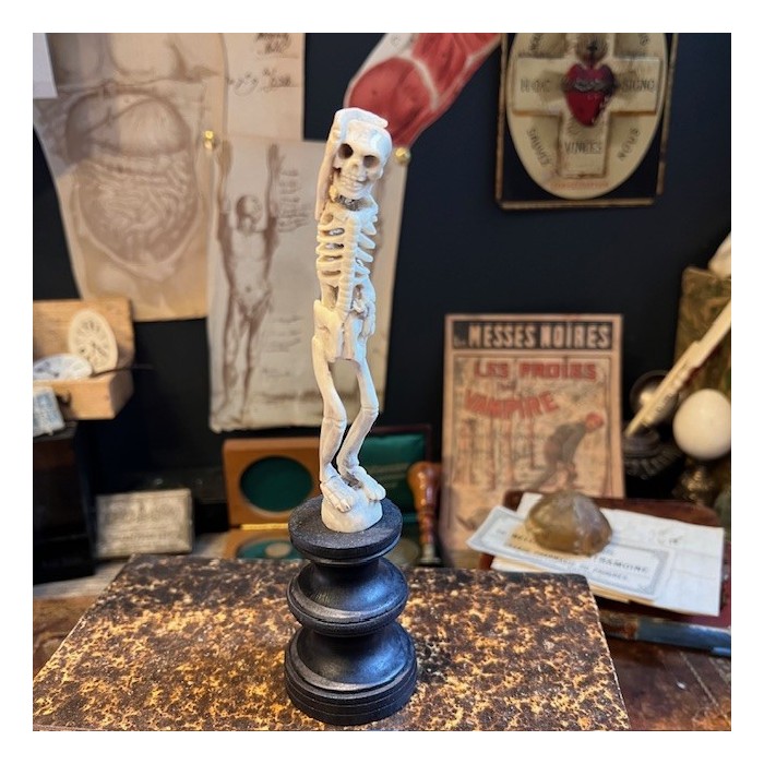 Deer antler wood sculpture - Skeleton on pedestal
