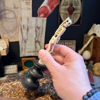 Deer antler wood sculpture - Skeleton on pedestal