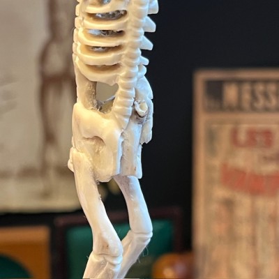 Deer antler wood sculpture - Skeleton on pedestal