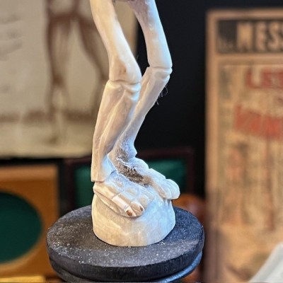 Deer antler wood sculpture - Skeleton on pedestal