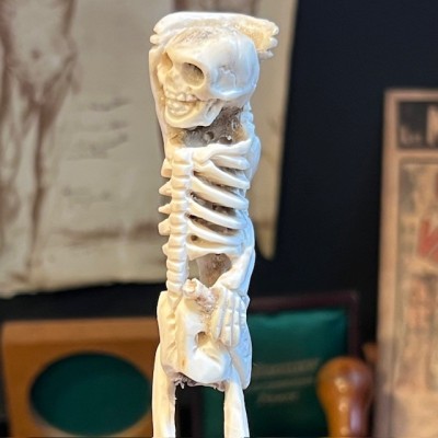 Deer antler wood sculpture - Skeleton on pedestal