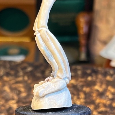 Squelette - Sculpture en bois de cerf