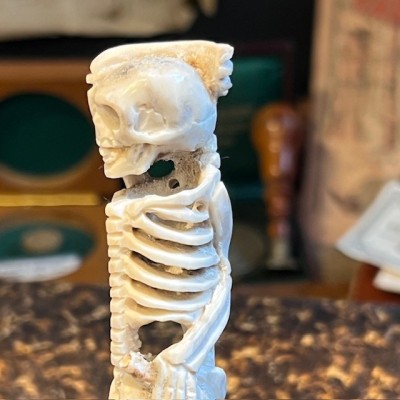 Deer antler wood sculpture - Skeleton on pedestal