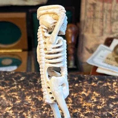 Deer antler wood sculpture - Skeleton on pedestal