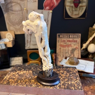 Deer antler wood sculpture - Octopus on trunk - On pedestal