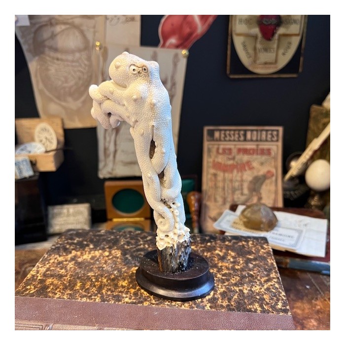 Deer antler wood sculpture - Octopus on trunk - On pedestal