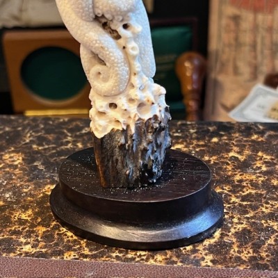 Deer antler wood sculpture - Octopus on trunk - On pedestal