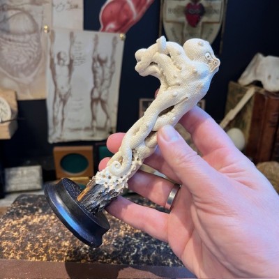 Deer antler wood sculpture - Octopus on trunk - On pedestal