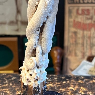 Deer antler wood sculpture - Octopus on trunk - On pedestal