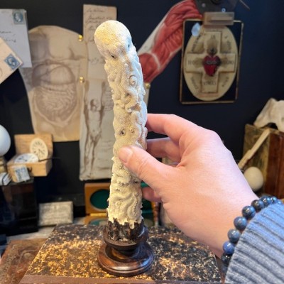 Deer antler wood sculpture - Totem with 3 octopuses on pedestal