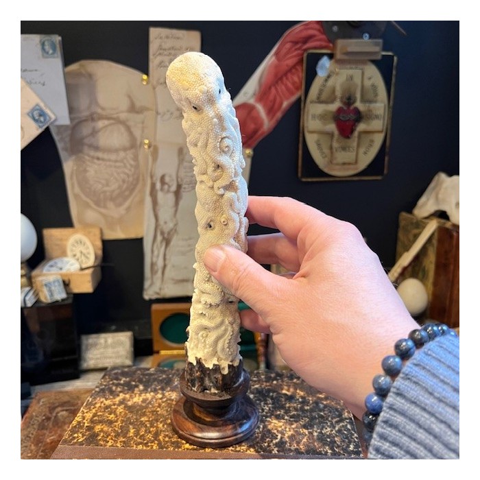 Deer antler wood sculpture - Totem with 3 octopuses on pedestal