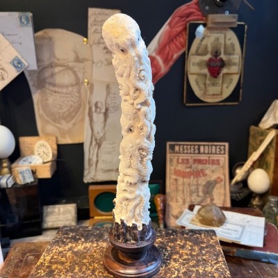 Deer antler wood sculpture - Totem with 3 octopuses on pedestal