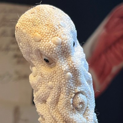 Deer antler wood sculpture - Totem with 3 octopuses on pedestal