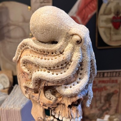 The Skull and its Octopus - Octopus in deer antler and skull in wood