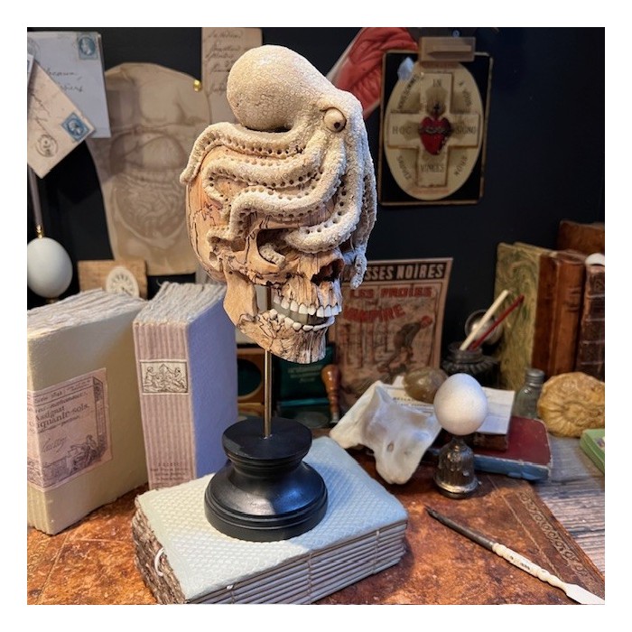 The Skull and its Octopus - Octopus in deer antler and skull in wood