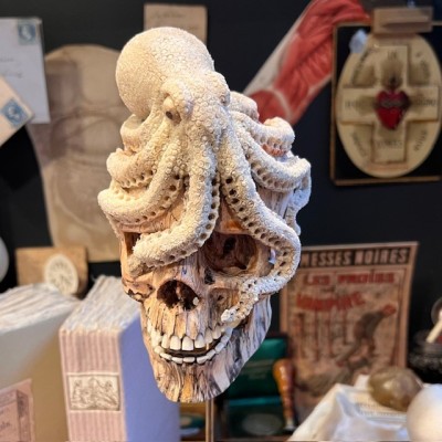 The Skull and its Octopus - Octopus in deer antler and skull in wood