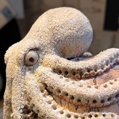 The Skull and its Octopus - Octopus in deer antler and skull in wood