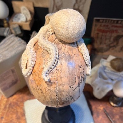 Le Crâne et sa Pieuvre - Pieuvre en bois de cerf et crâne en bois