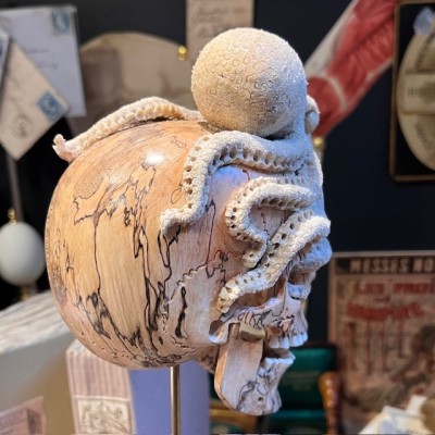 The Skull and its Octopus - Octopus in deer antler and skull in wood