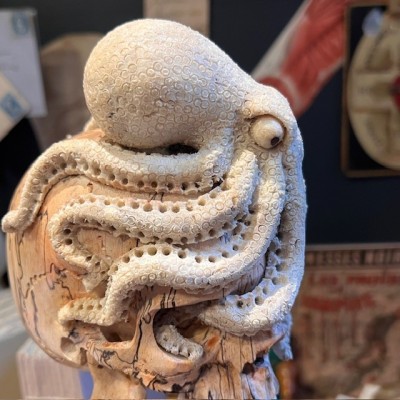 The Skull and its Octopus - Octopus in deer antler and skull in wood