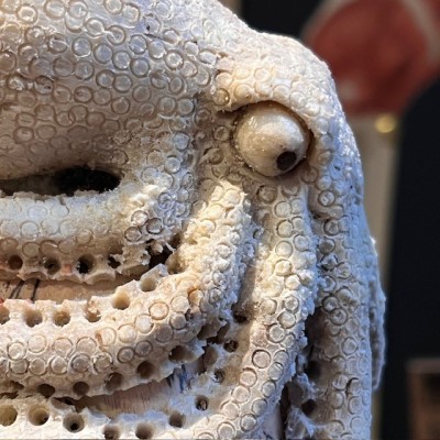 The Skull and its Octopus - Octopus in deer antler and skull in wood