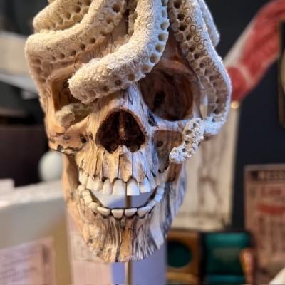 The Skull and its Octopus - Octopus in deer antler and skull in wood