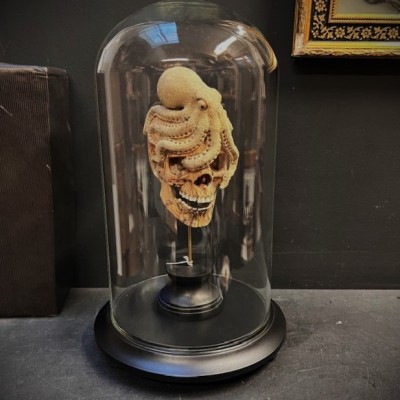 The Skull and its Octopus - Octopus in deer antler and skull in wood