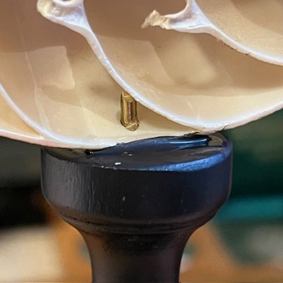 Half-Nautilus on base - Supplied with CITES Pre-Convention document