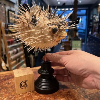 Poisson Diodon avec oeil de Ste Lucie sur socle - Poisson globe